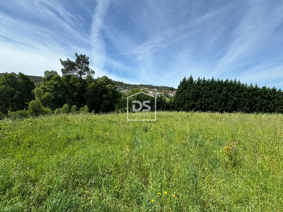 Terreno para Venda em Sobreira Foto 5