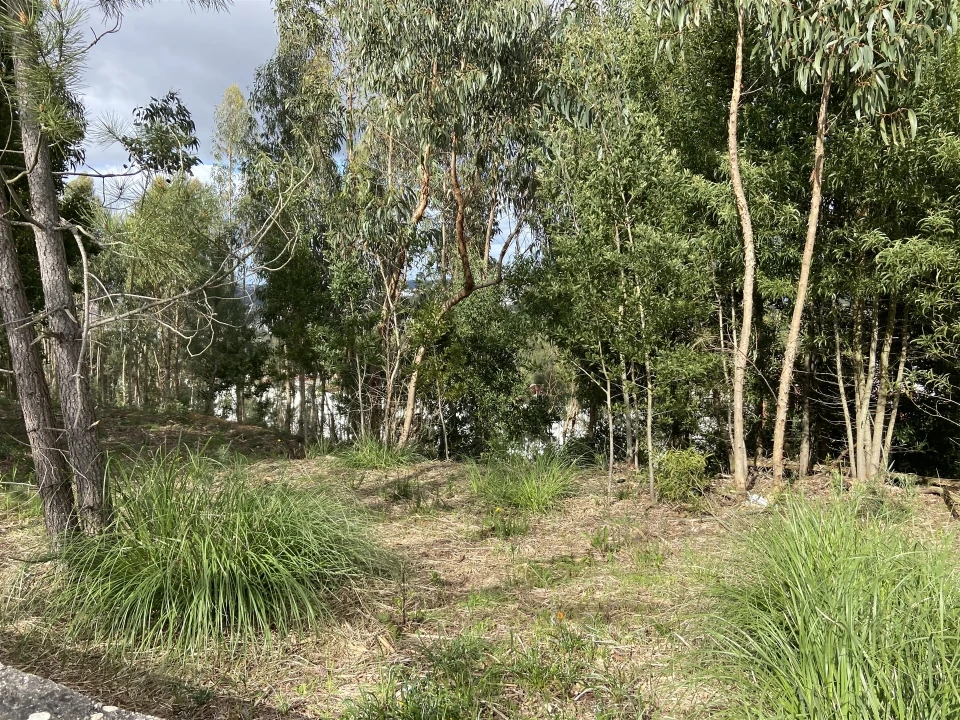 Terreno para Venda em Leiria, Pousos, Barreira e Cortes Foto 2