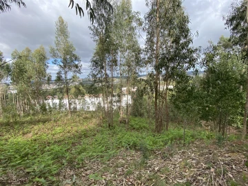 Terreno para Venda em Leiria, Pousos, Barreira e Cortes