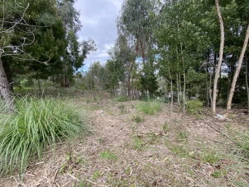 Terreno para Venda em Leiria, Pousos, Barreira e Cortes
