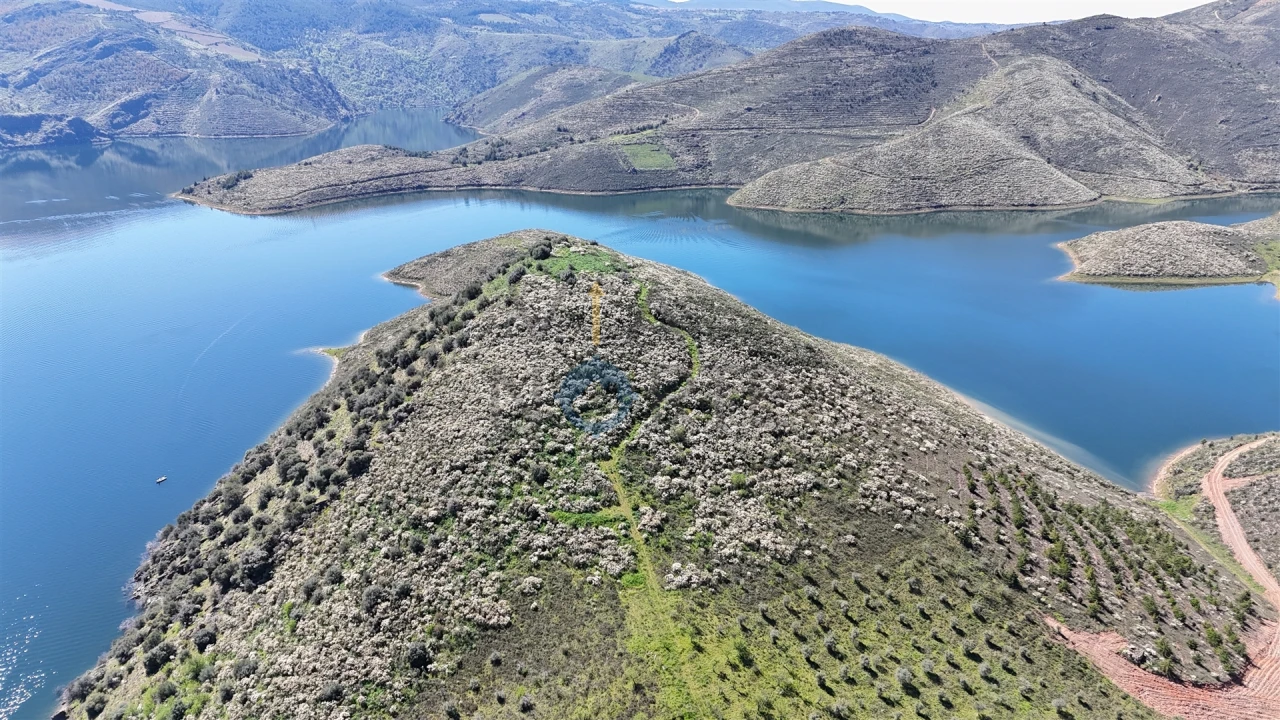 Quinta T0 para Venda em Cerejais Foto 7