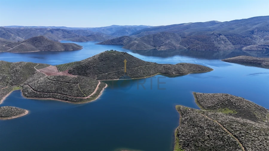 Quinta T0 para Venda em Cerejais Foto 5