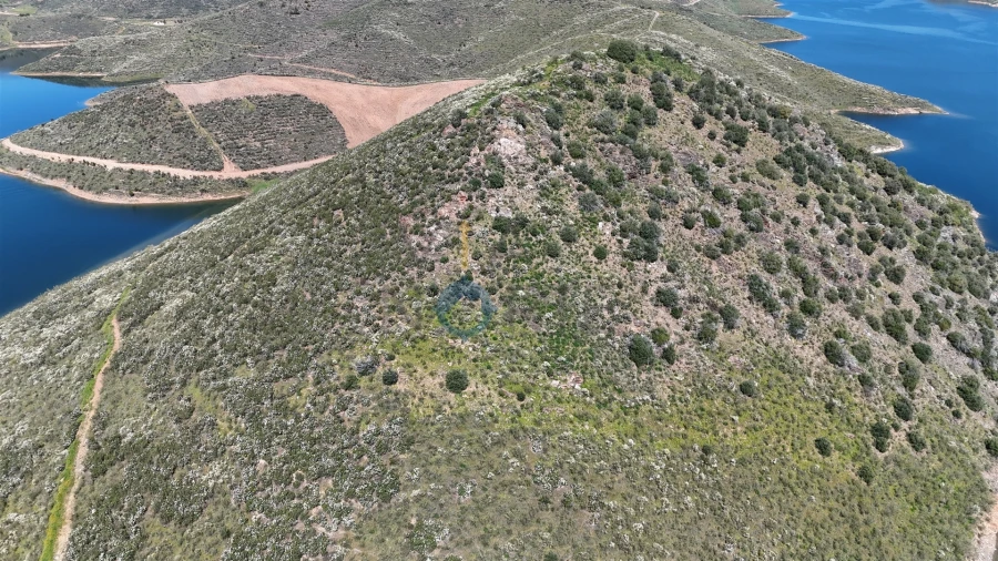 Quinta T0 para Venda em Cerejais Foto 15