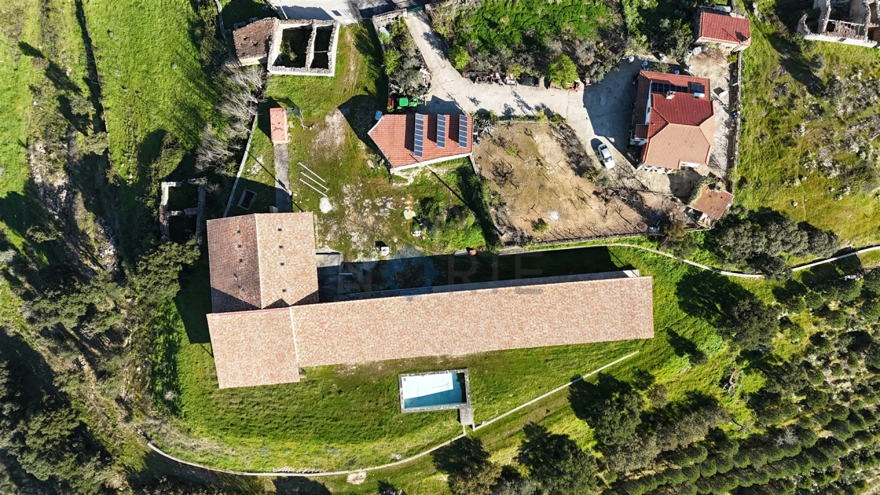 Negócio para Venda em Mirandela Foto 6