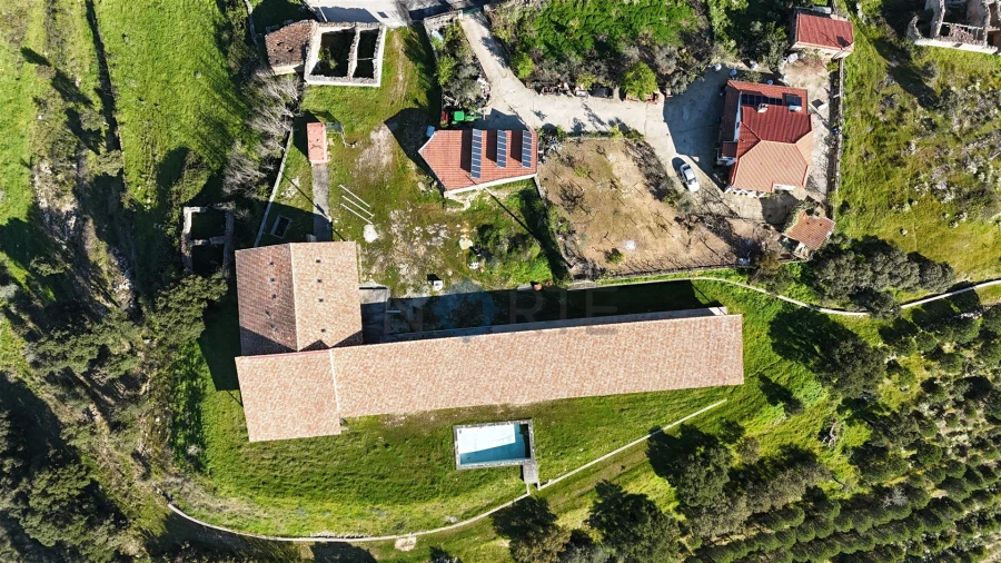 Negócio para Venda em Mirandela Foto 6