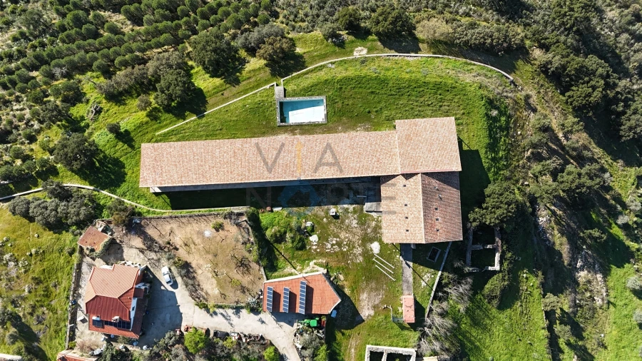 Negócio para Venda em Mirandela Foto 5