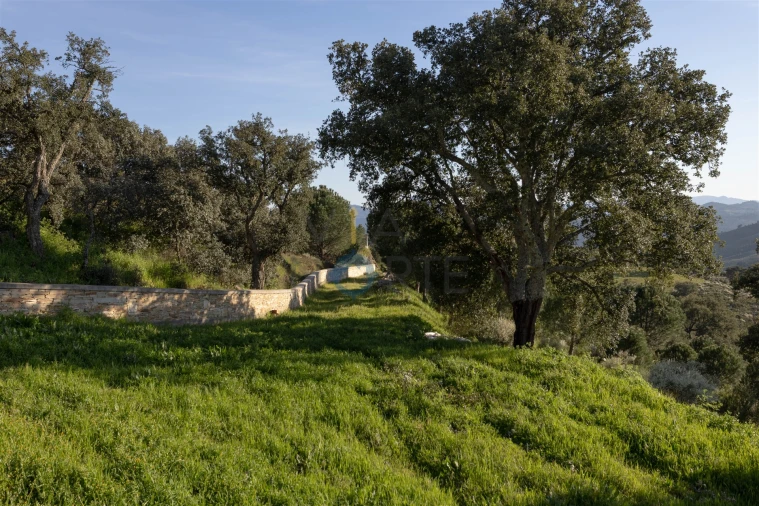 Negócio para Venda em Mirandela Foto 37