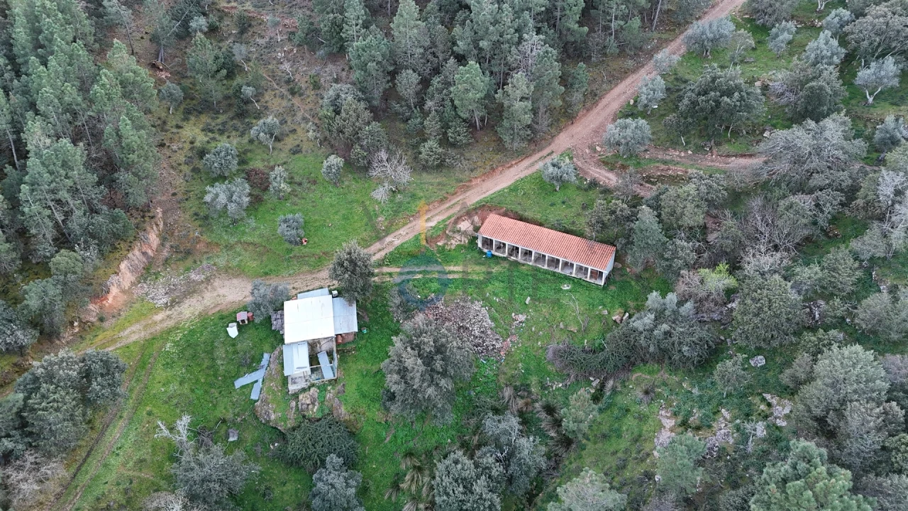 Quinta T0 para Venda em Alfandega da Fe Foto 6