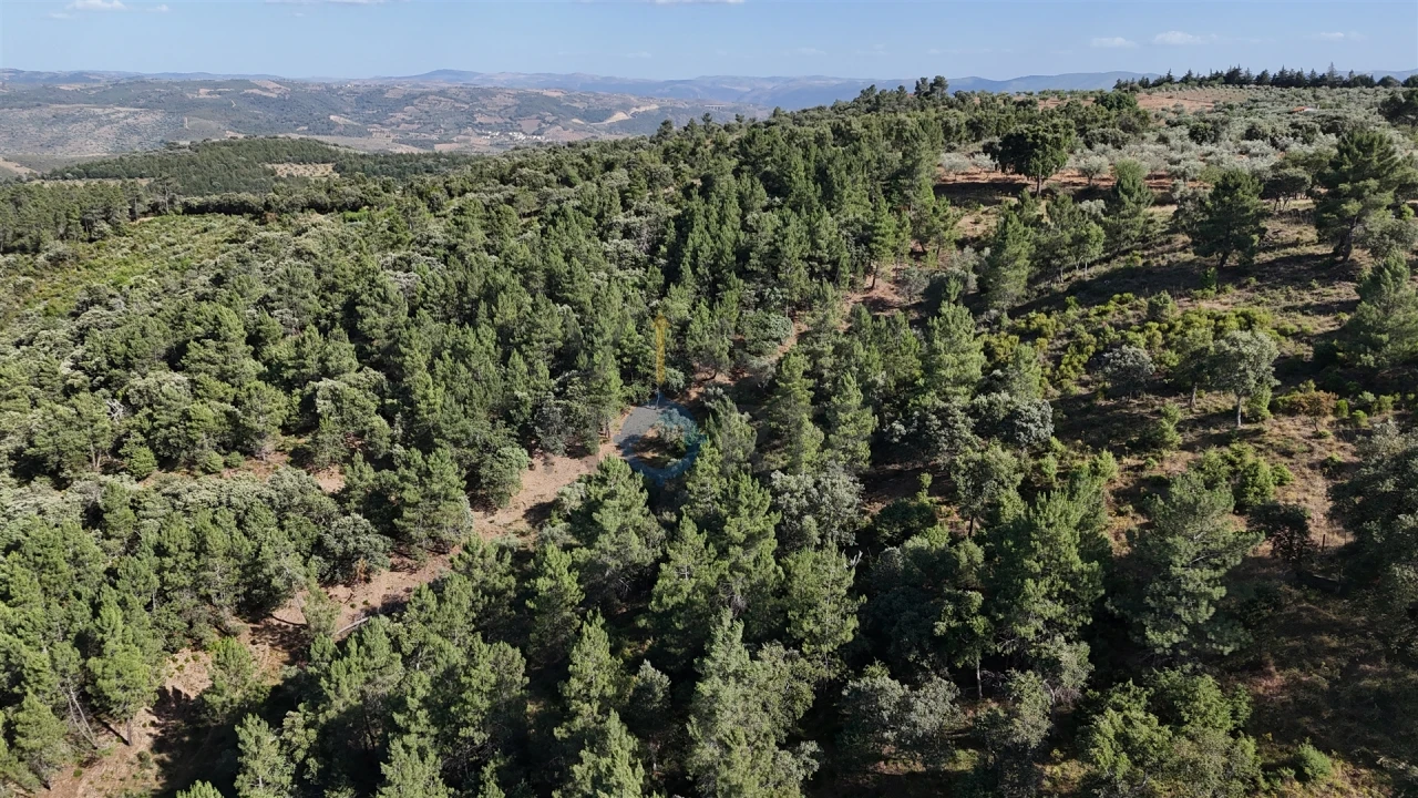 Quinta T0 para Venda em Alfandega da Fe Foto 21