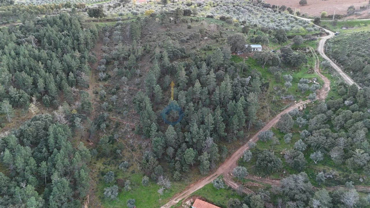 Quinta T0 para Venda em Alfandega da Fe Foto 7