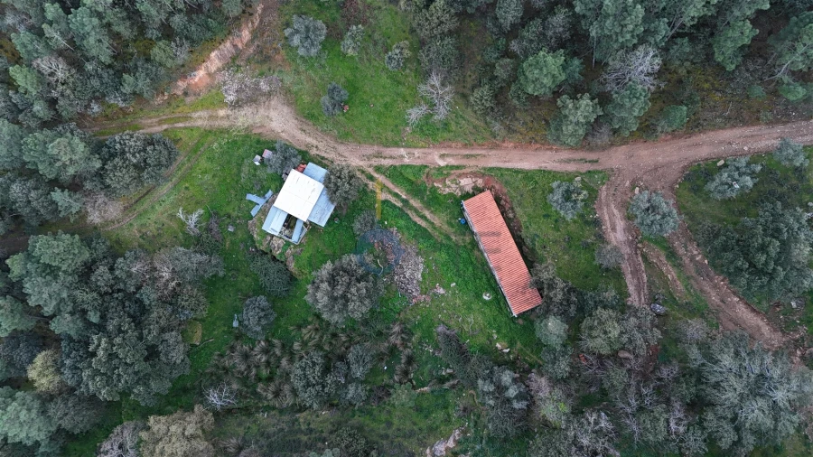 Quinta T0 para Venda em Alfandega da Fe Foto 14