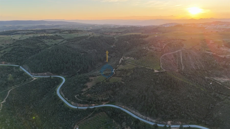 Quinta T0 para Venda em Alfandega da Fe Foto 3
