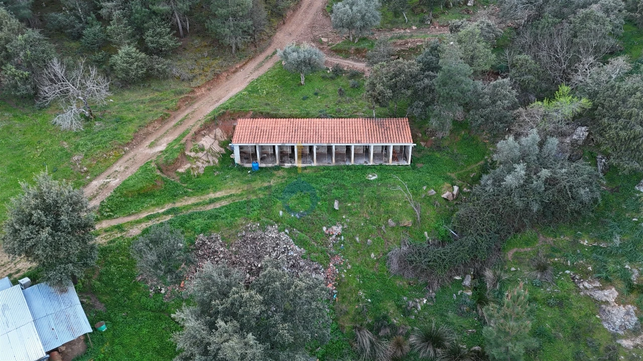 Quinta T0 para Venda em Alfandega da Fe Foto 5