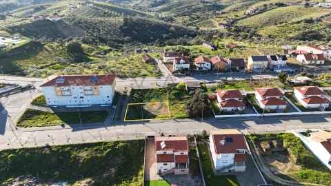 Terreno para Venda em Alfandega da Fe