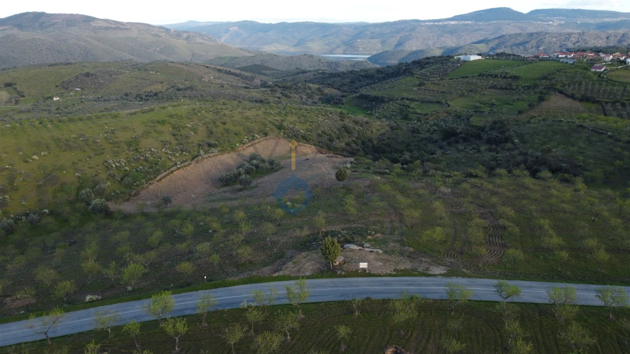 Terreno Agricola ou Rústico para Venda em Adeganha e Cardanha Foto 13