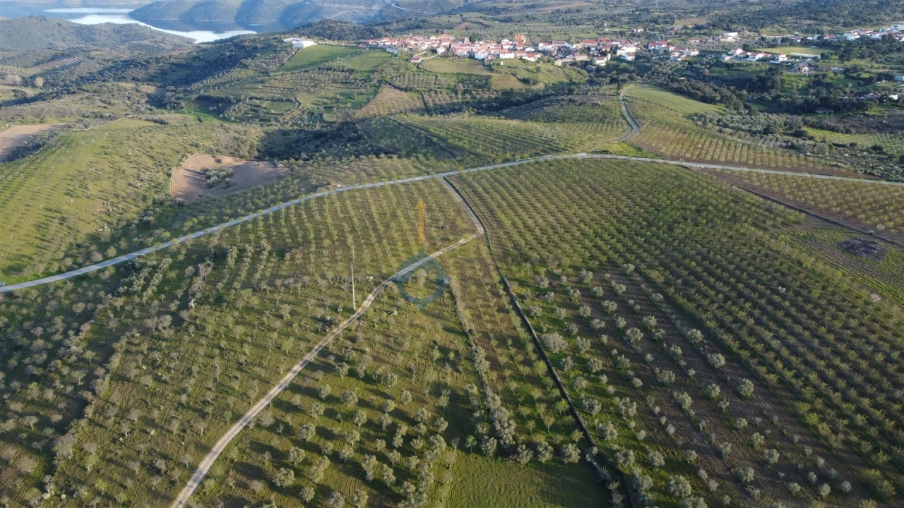 Terreno Agricola ou Rústico para Venda em Adeganha e Cardanha Foto 3