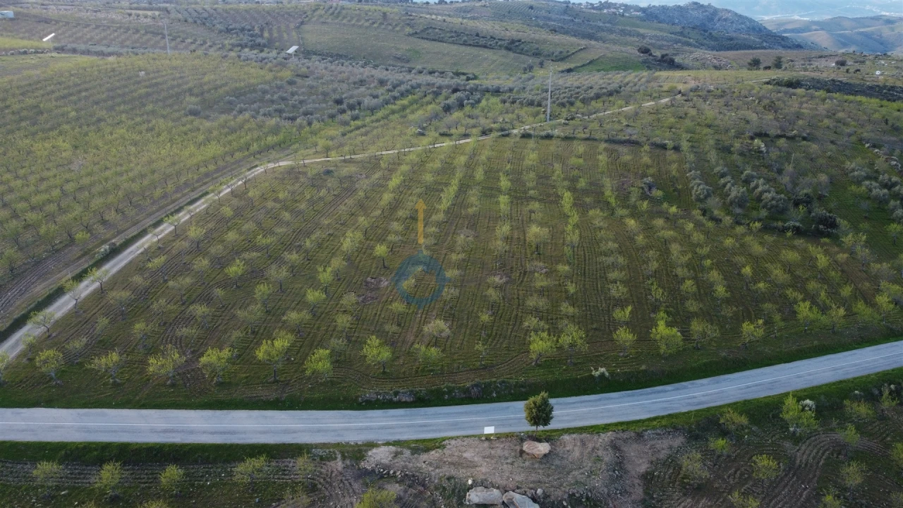Terreno Agricola ou Rústico para Venda em Adeganha e Cardanha Foto 11
