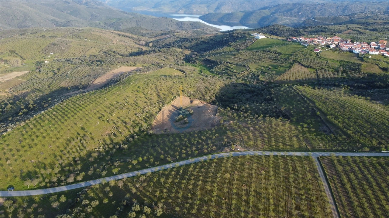 Terreno Agricola ou Rústico para Venda em Adeganha e Cardanha Foto 5