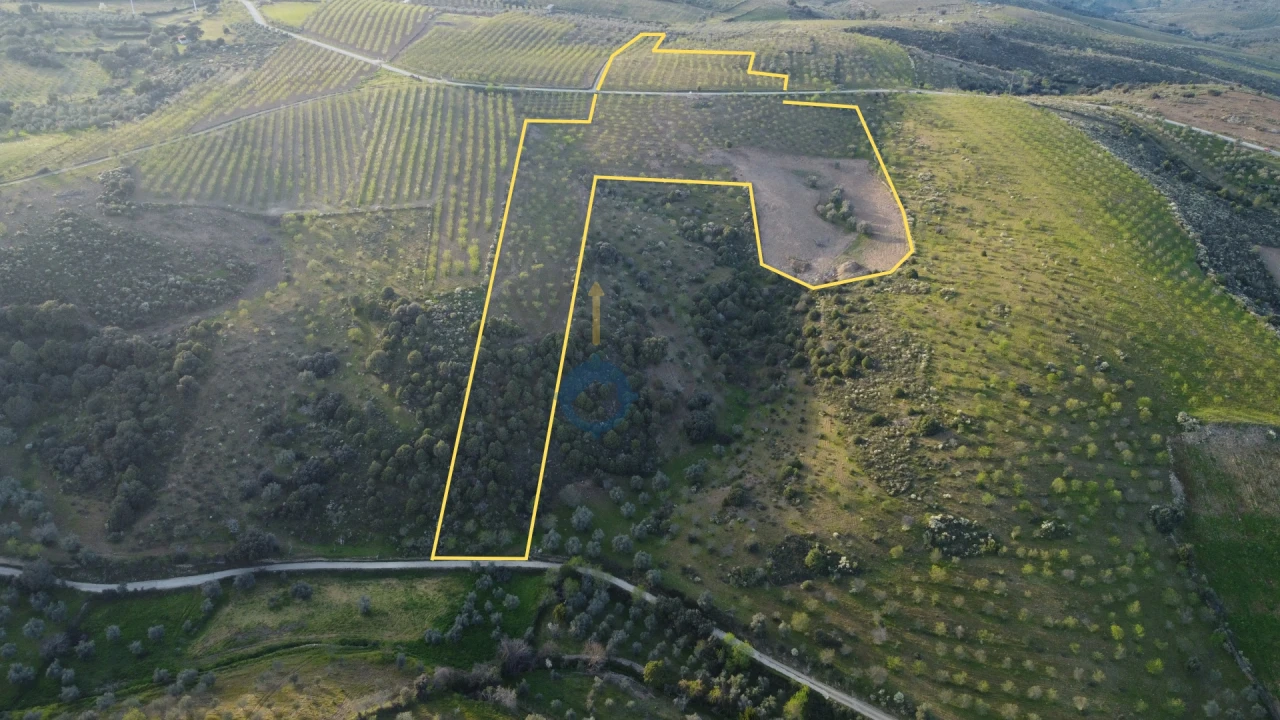 Terreno Agricola ou Rústico para Venda em Adeganha e Cardanha Foto 1