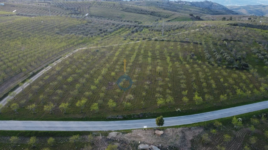 Terreno Agricola ou Rústico para Venda em Adeganha e Cardanha Foto 11