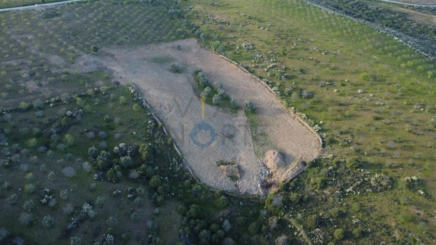 Terreno Agricola ou Rústico para Venda em Adeganha e Cardanha Foto 8
