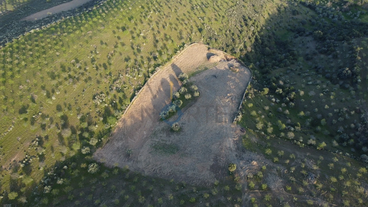 Terreno Agricola ou Rústico para Venda em Adeganha e Cardanha Foto 7