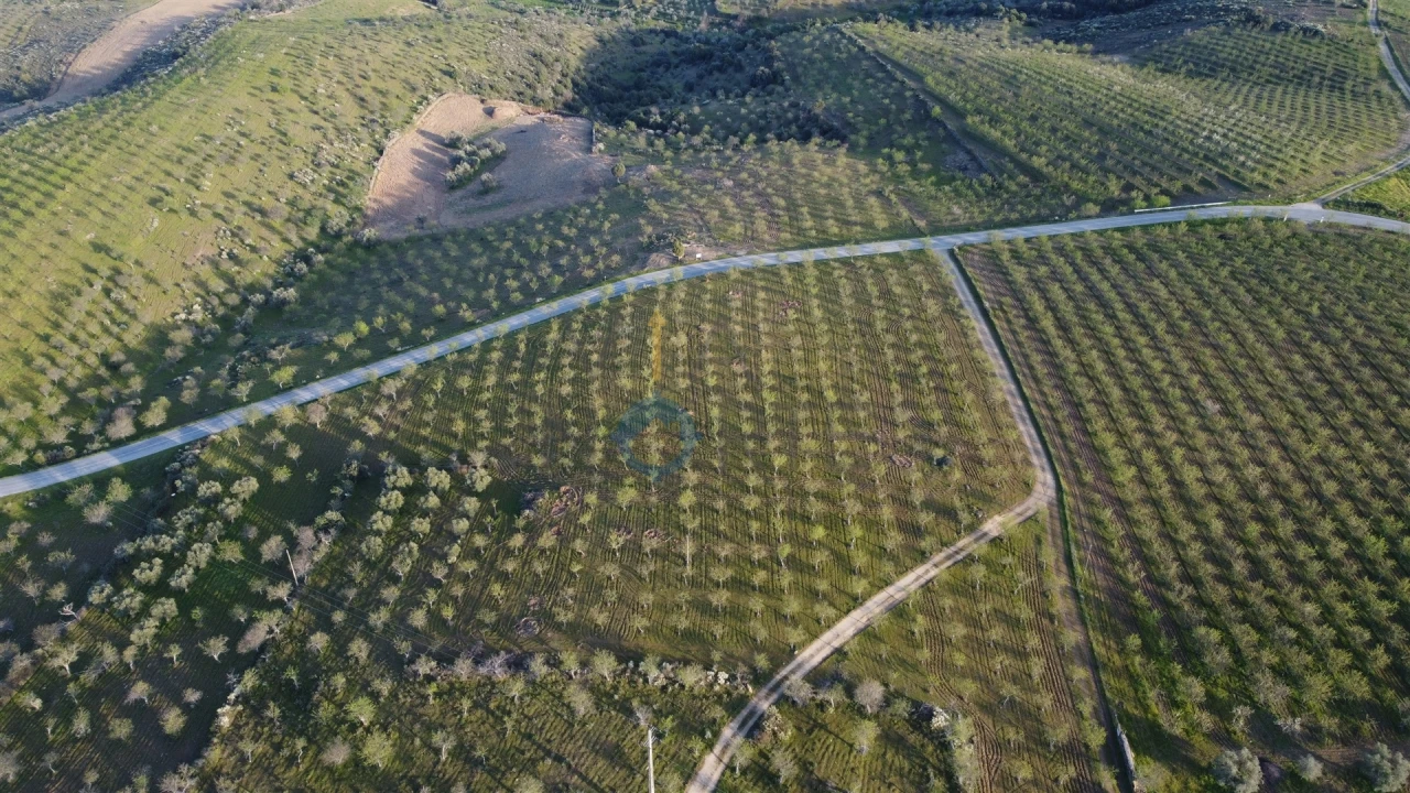 Terreno Agricola ou Rústico para Venda em Adeganha e Cardanha Foto 4
