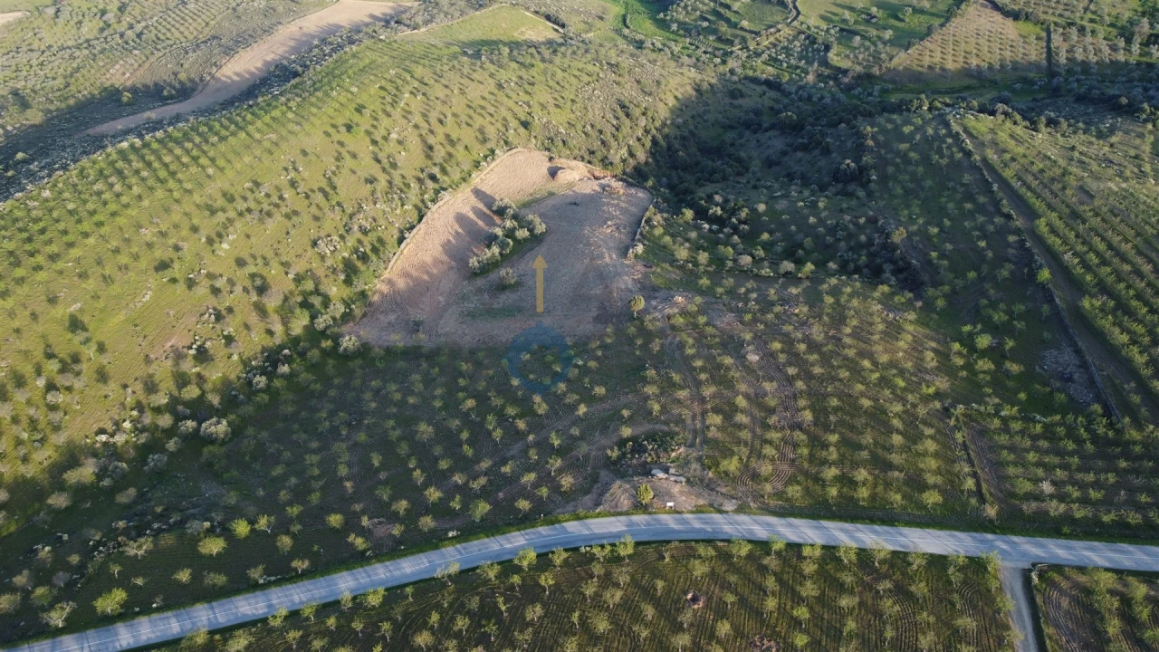 Terreno Agricola ou Rústico para Venda em Adeganha e Cardanha Foto 6