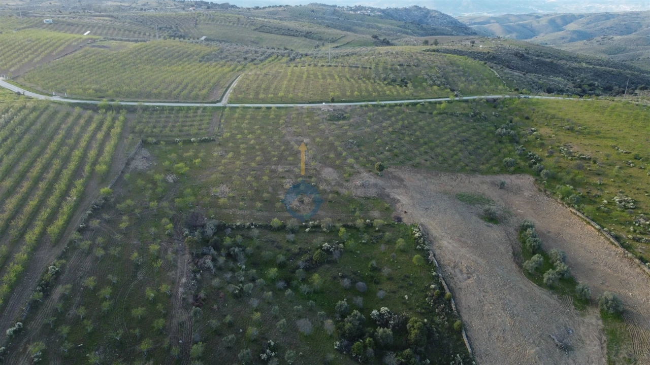 Terreno Agricola ou Rústico para Venda em Adeganha e Cardanha Foto 10