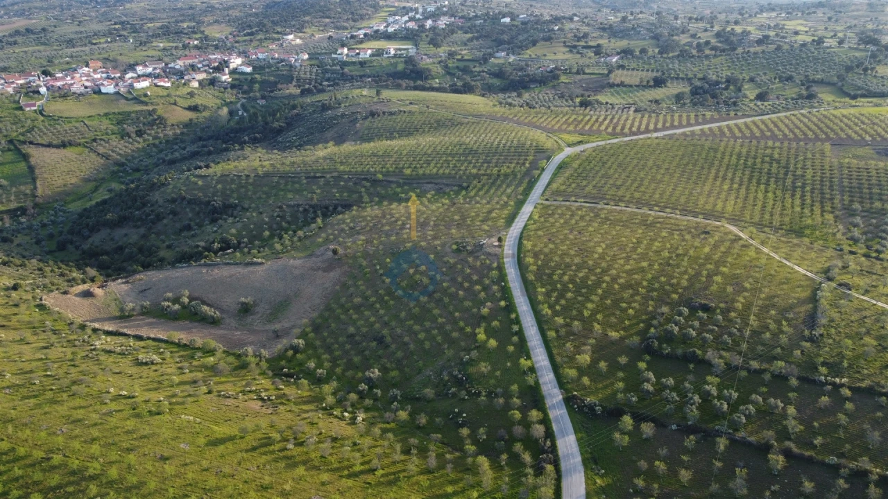 Terreno Agricola ou Rústico para Venda em Adeganha e Cardanha Foto 2