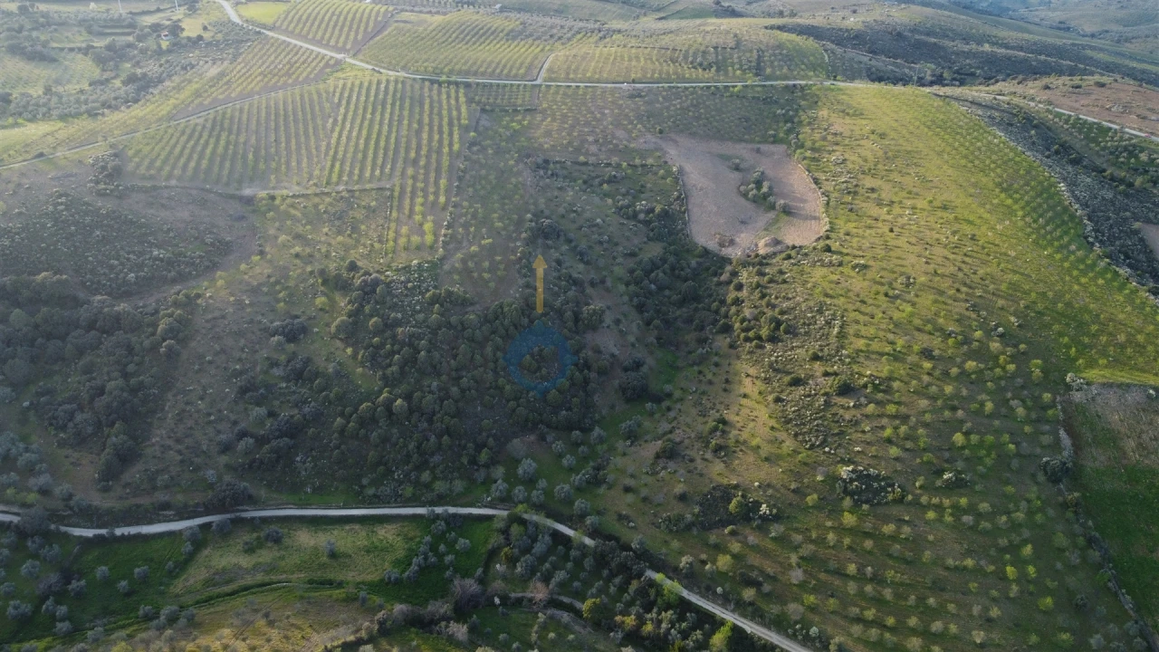 Terreno Agricola ou Rústico para Venda em Adeganha e Cardanha Foto 9