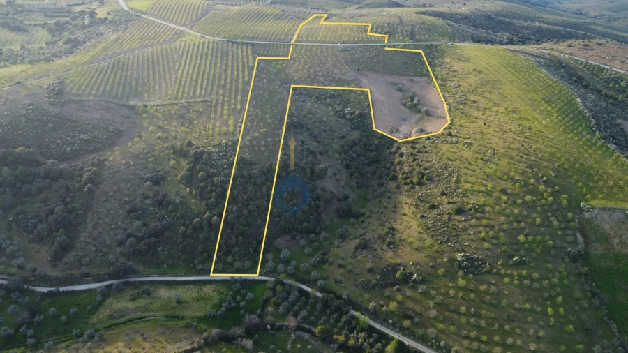 Terreno Agricola ou Rústico para Venda em Adeganha e Cardanha