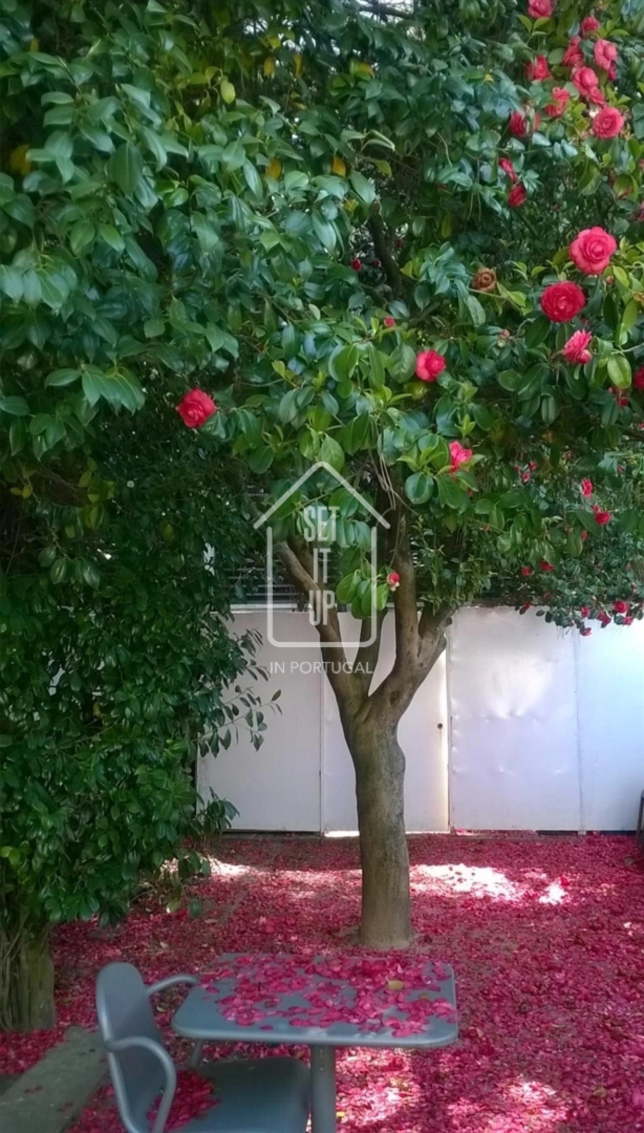 Moradia T0 para Venda em Lordelo do Ouro e Massarelos Foto 6