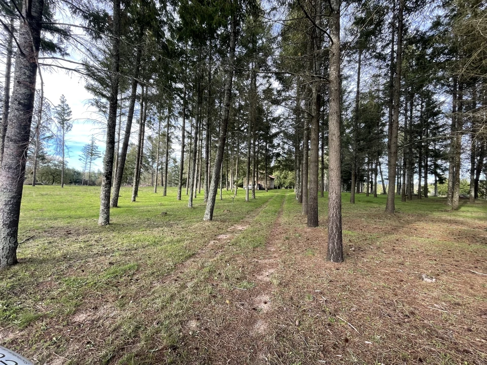 Quinta T0 para Venda em Moimenta da Serra e Vinhó Foto 1