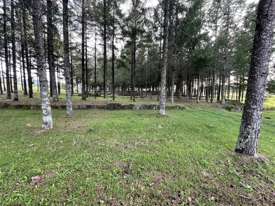 Quinta T0 para Venda em Moimenta da Serra e Vinhó Foto 13