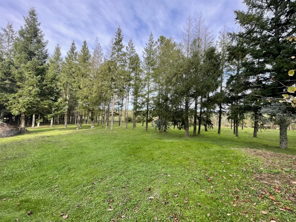 Quinta T0 para Venda em Moimenta da Serra e Vinhó Foto 4