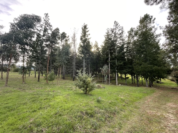 Quinta T0 para Venda em Moimenta da Serra e Vinhó Foto 14