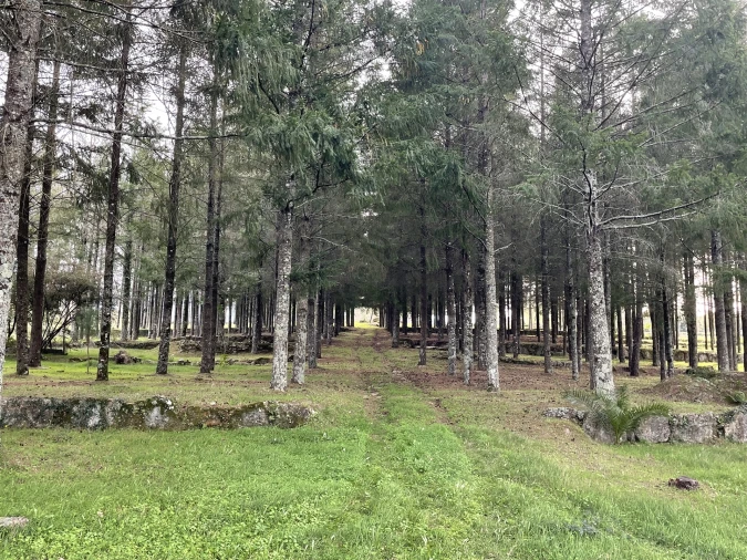 Quinta T0 para Venda em Moimenta da Serra e Vinhó Foto 12
