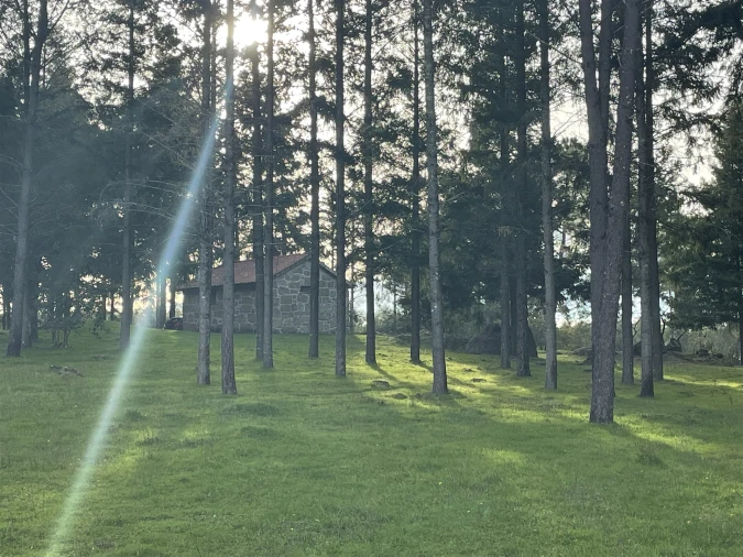 Quinta T0 para Venda em Moimenta da Serra e Vinhó Foto 17