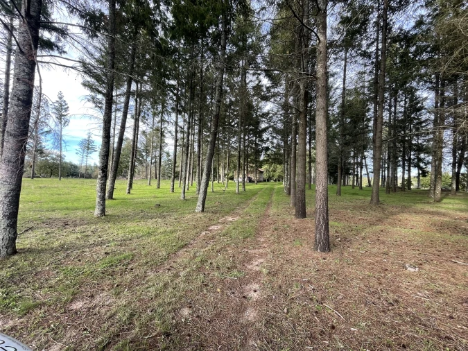 Quinta T0 para Venda em Moimenta da Serra e Vinhó