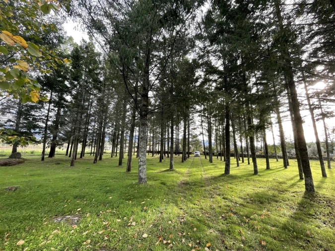 Quinta T0 para Venda em Moimenta da Serra e Vinhó Foto 3