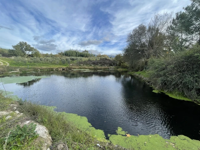 Quinta T0 para Venda em Moimenta da Serra e Vinhó Foto 6