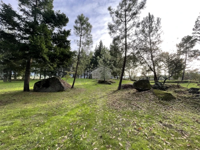 Quinta T0 para Venda em Moimenta da Serra e Vinhó Foto 9