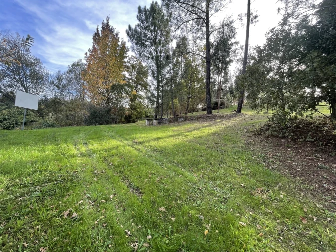 Quinta T0 para Venda em Moimenta da Serra e Vinhó Foto 15