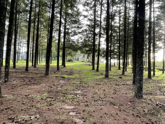 Quinta T0 para Venda em Moimenta da Serra e Vinhó Foto 10