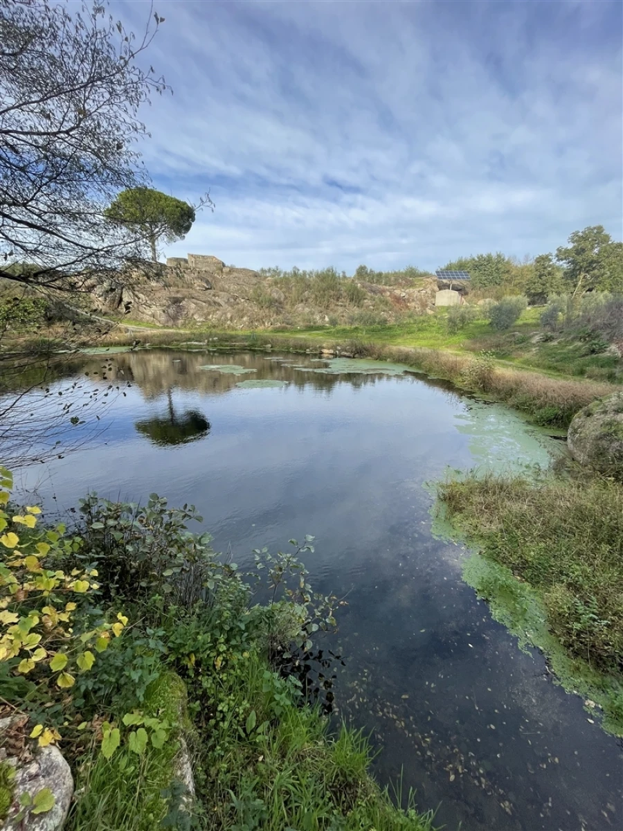 Quinta T0 para Venda em Moimenta da Serra e Vinhó Foto 7