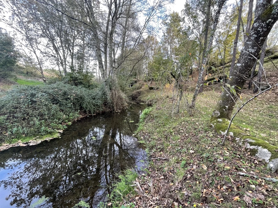 Quinta T0 para Venda em Moimenta da Serra e Vinhó Foto 8