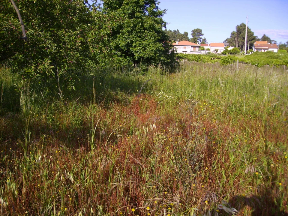 Moradia T3 para Venda em Mazedo e Cortes Foto 17