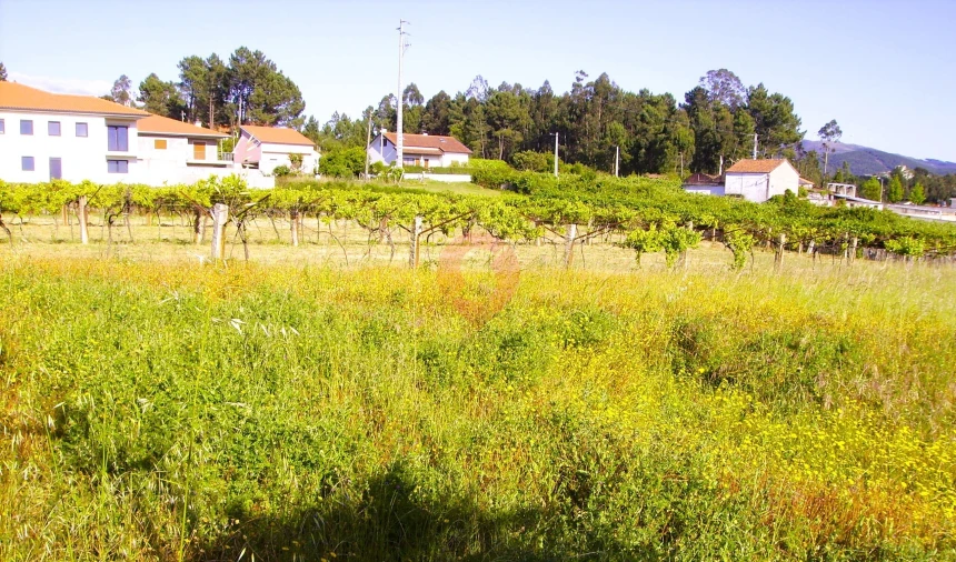 Moradia T3 para Venda em Mazedo e Cortes Foto 15