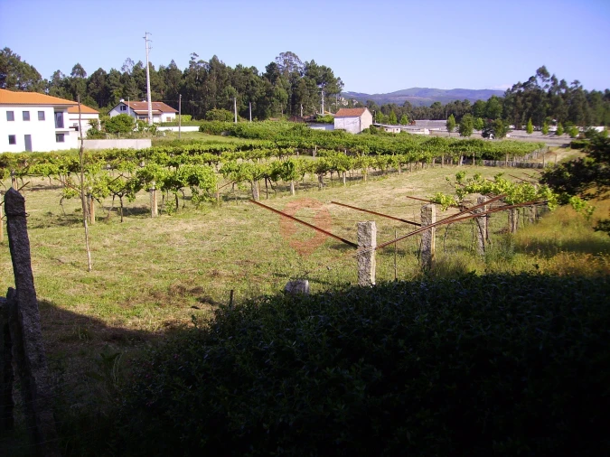 Moradia T3 para Venda em Mazedo e Cortes Foto 15